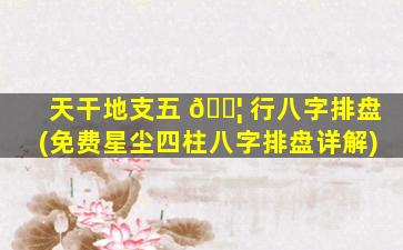 天干地支五 🐦 行八字排盘(免费星尘四柱八字排盘详解)